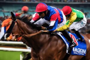 Tips Betting